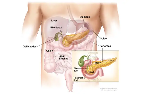 Pancreatic Surgeon in Anand