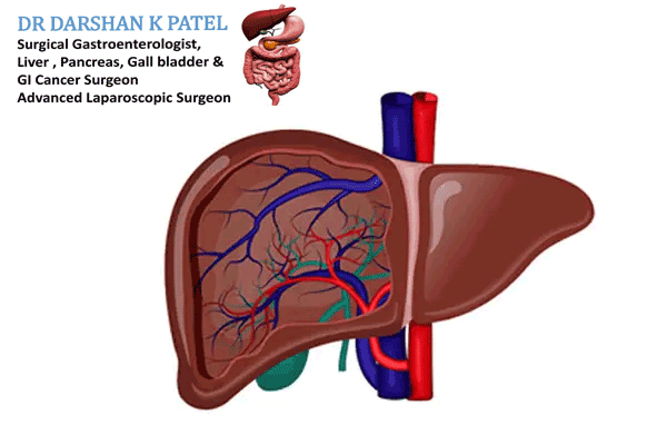 Best Liver Doctor in Rajkot