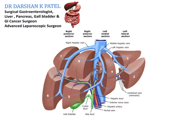 Liver Cancer Surgeon in Rajkot